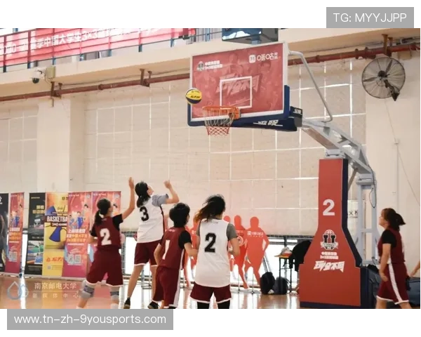 篮球赛事志愿者服务体系全面优化,提升赛场形象,篮球赛志愿者申请理由